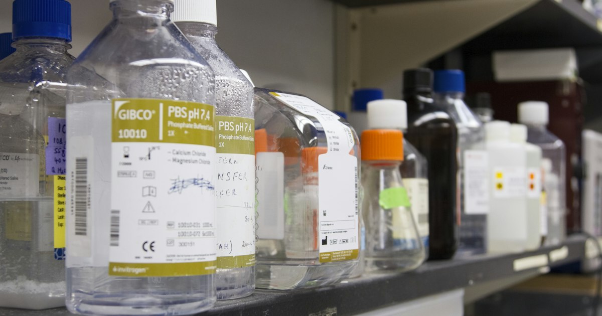 Exogenous ketones vs MCT oil: what to choose and for whom